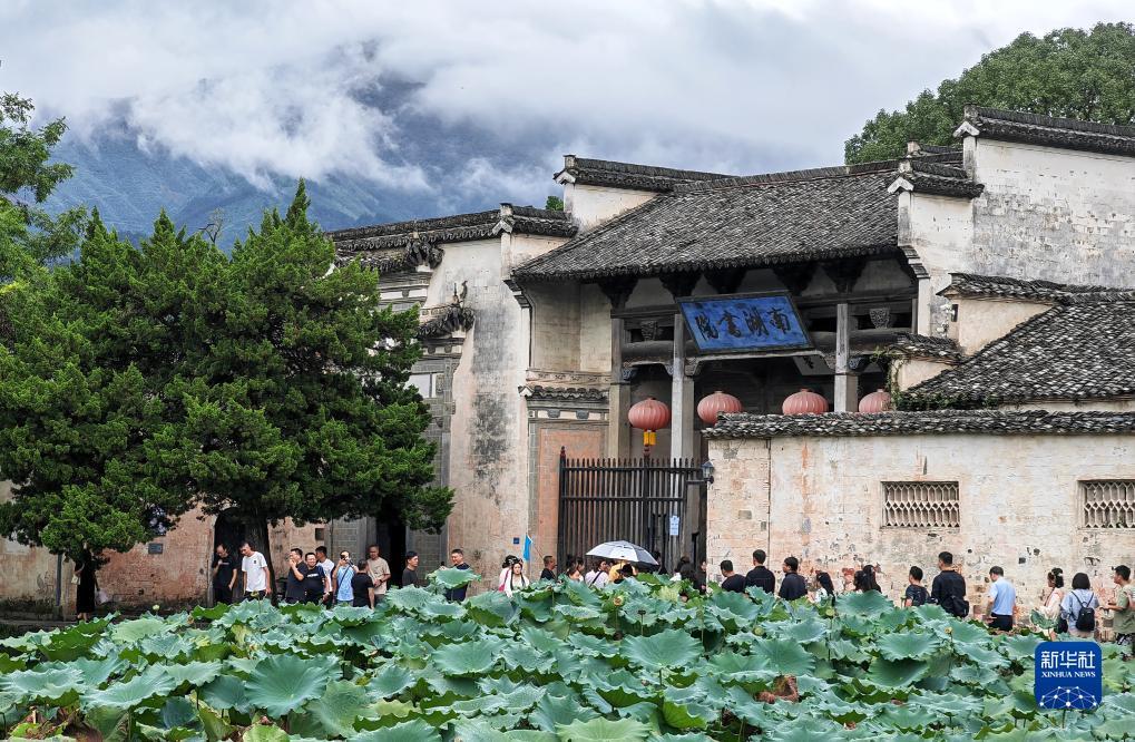 白菜送彩金100可提款